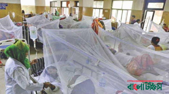 ডেঙ্গুতে চারজনের মৃত্যু, তিনজনই ঢাকায়